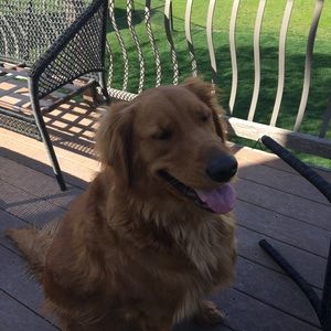 Meet your Posher, Annika